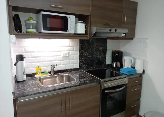 Departamento En Recoleta Excelente