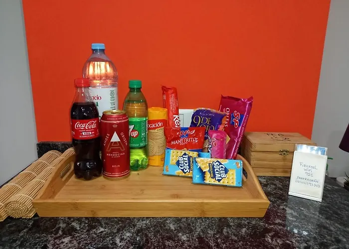 Departamento En Recoleta Excelente